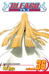 Bleach (Vol 01-Vol 74)