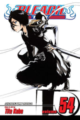 Bleach (Vol 01-Vol 74)