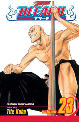 Bleach (Vol 01-Vol 74)