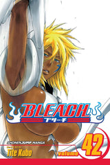 Bleach (Vol 01-Vol 74)