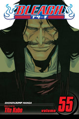 Bleach (Vol 01-Vol 74)