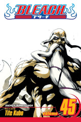 Bleach (Vol 01-Vol 74)