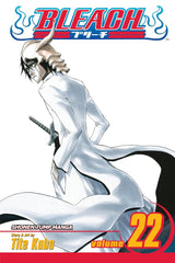 Bleach (Vol 01-Vol 74)