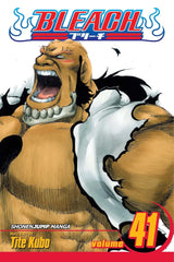 Bleach (Vol 01-Vol 74)