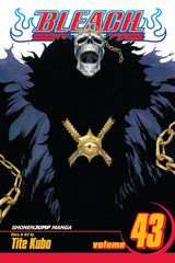 Bleach (Vol 01-Vol 74)