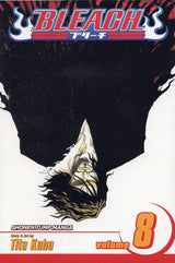 Bleach (Vol 01-Vol 74)