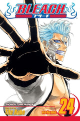 Bleach (Vol 01-Vol 74)