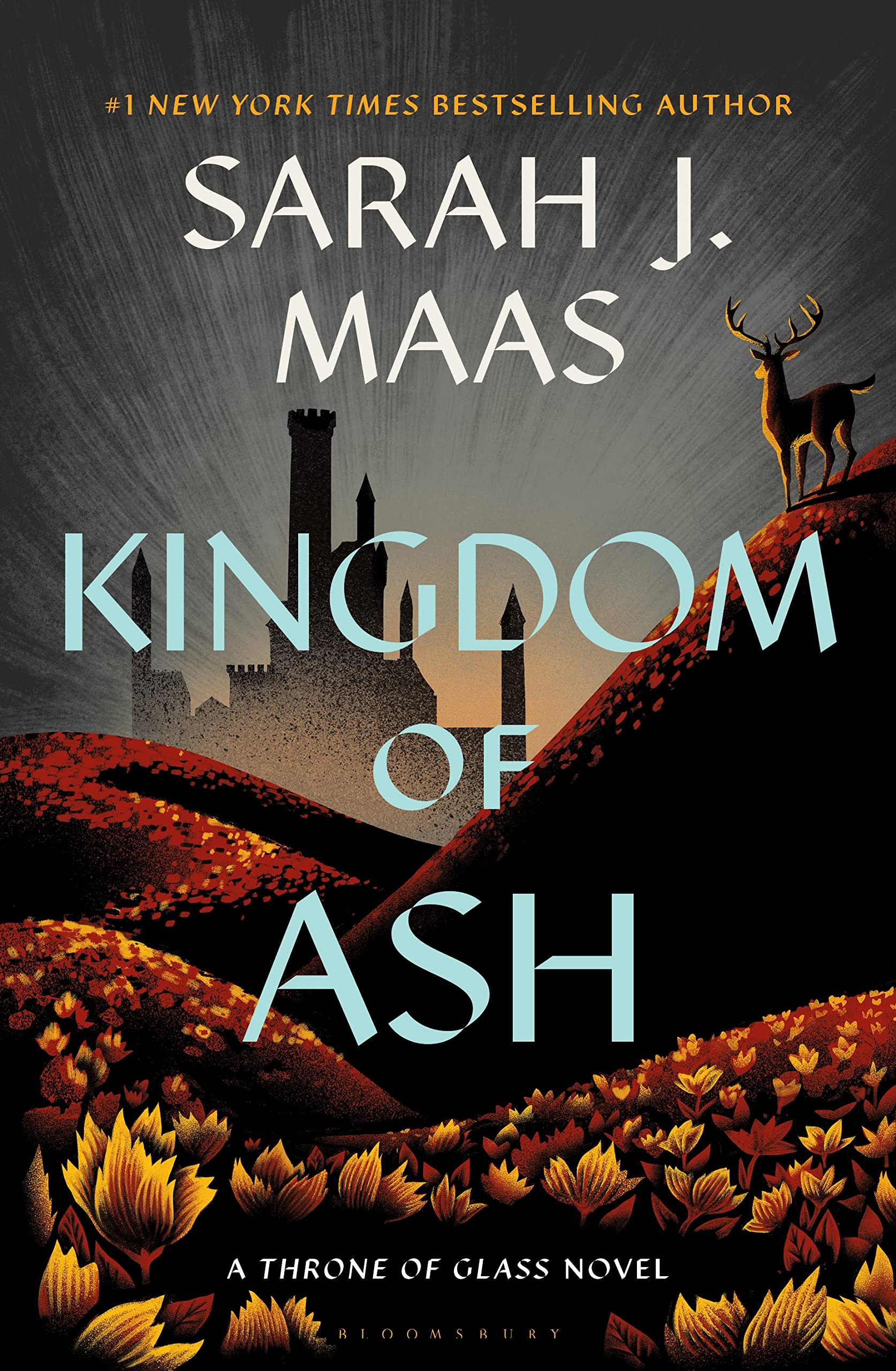 Throne Of Glass Bundle