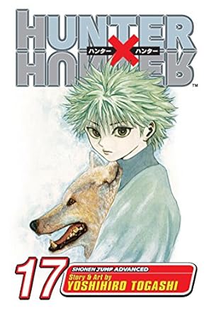 Hunter x Hunter (Vol 01-Vol 38)