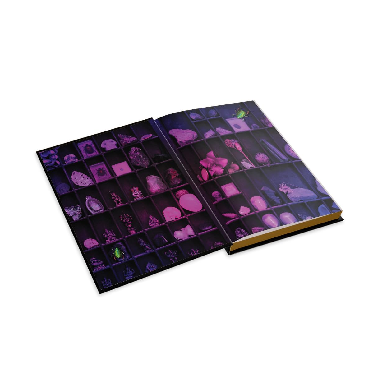The Lost Apothecary (Collector's Edition)