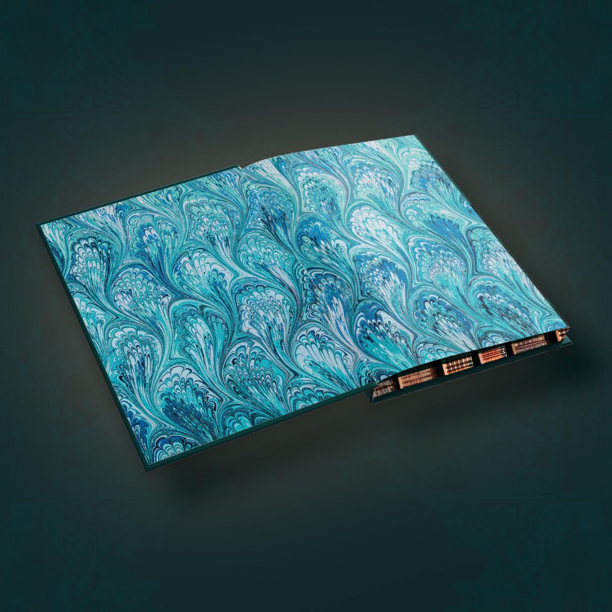 A Study in Drowning (Collector's Deluxe Limited Edition) (A Study in Drowning #1)