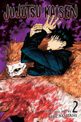 Jujutsu kaisen (vol 0 - 25)