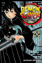Demon Slayer (Vol 01- Vol 23)