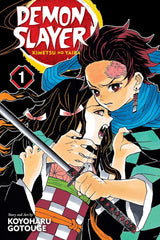 Demon Slayer (Vol 01- Vol 23)
