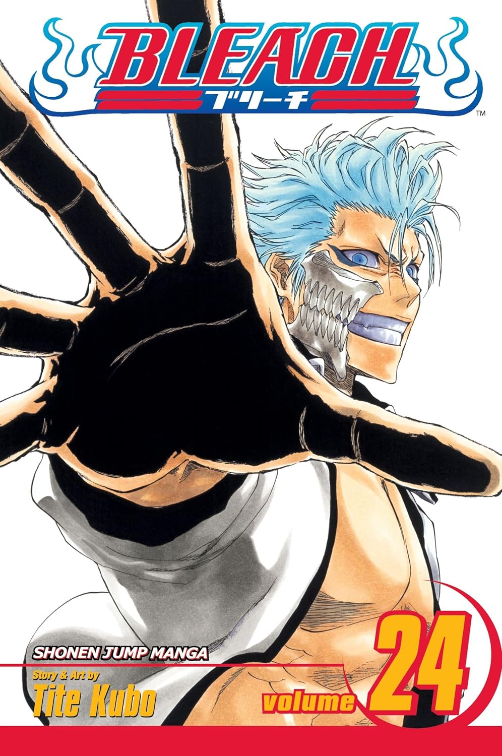 Bleach (Vol 01-Vol 74)