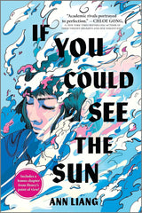 If You Could See the Sun (hardcover)