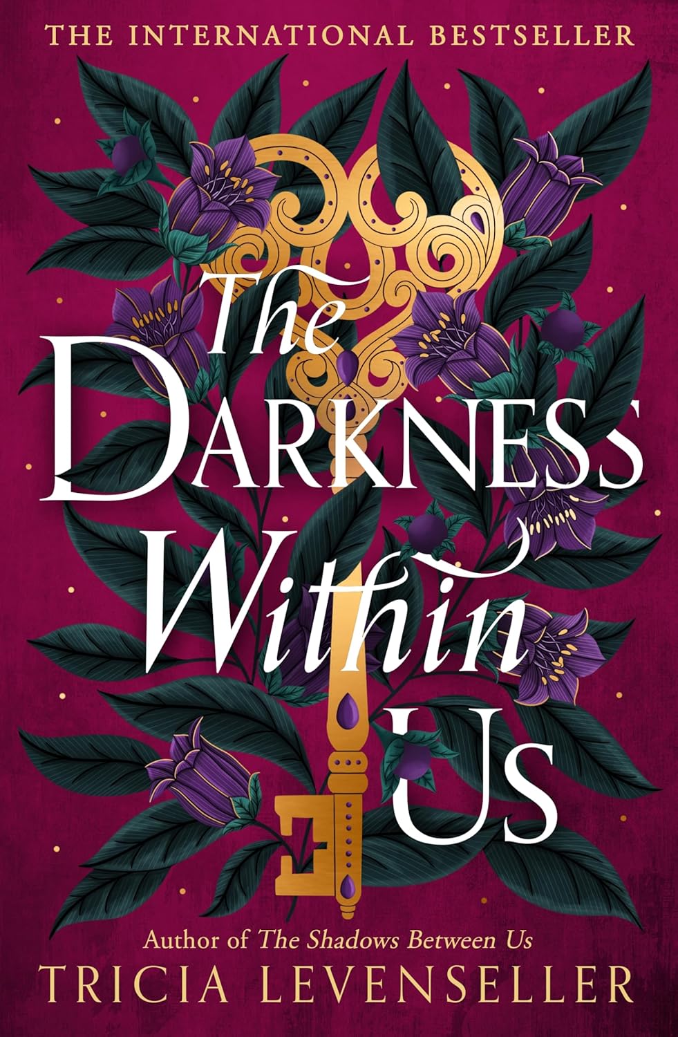 The Darkness Within Us (The Shadows Between Us #2)
