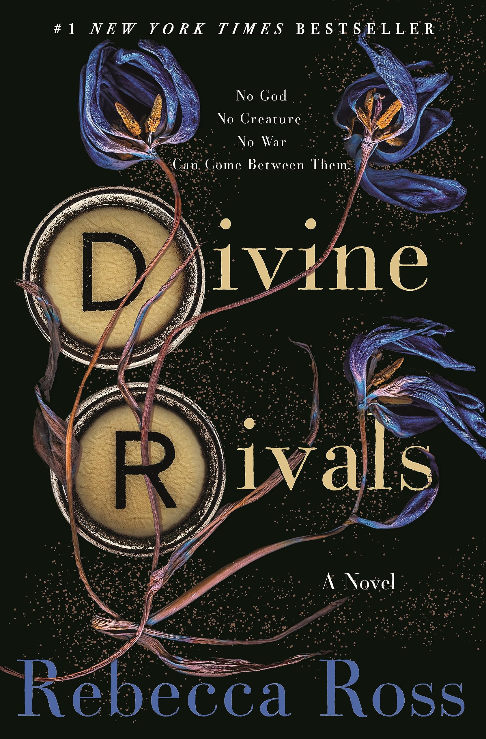 Divine Rivals (Letters of Enchantment #1) (Hardcover) – Pageaters