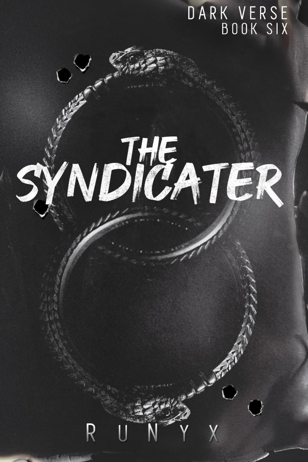 The Syndicater (Dark Verse #6)